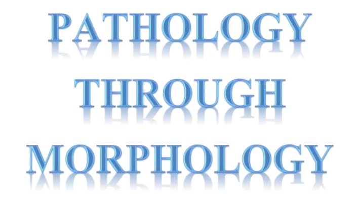 Pathology Through Morphology